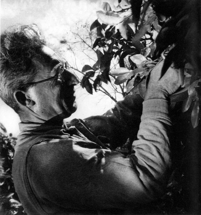 Agronom im Kibbutz Shiller